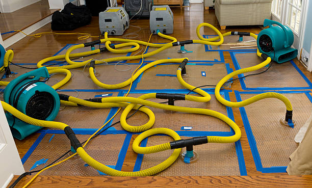 Professional Burst Pipe Water Damage technician working in Quinault, WA